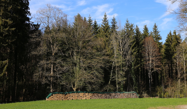 En Suisse, le bois-énergie, moteur le plus dynamique de la gestion forestière