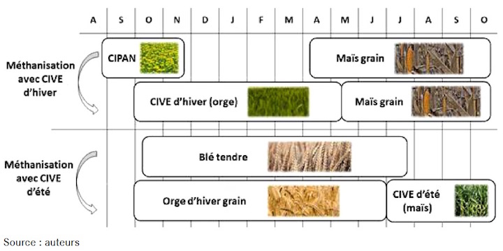 Performances agronomiques et environnementales de la méthanisation de CIVE