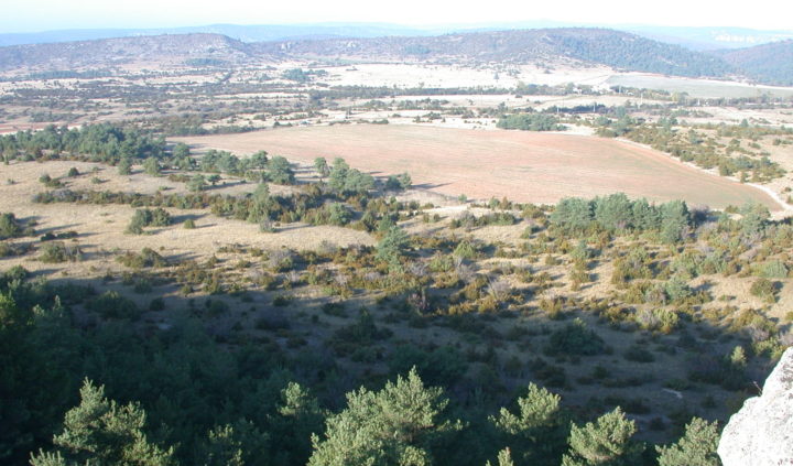 Le bois-énergie, outil de gestion territoriale du Parc Naturel Régional des Grands Causses