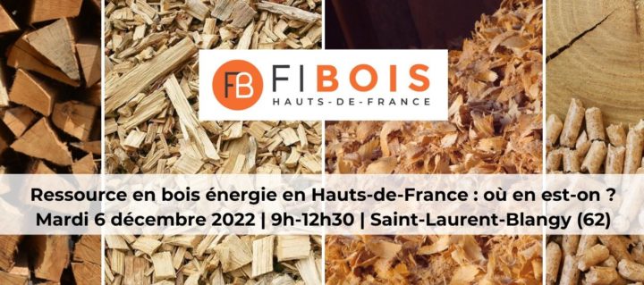 6 décembre 2022, l’approvisionnement et la ressource en bois-énergie en Hauts-de-France