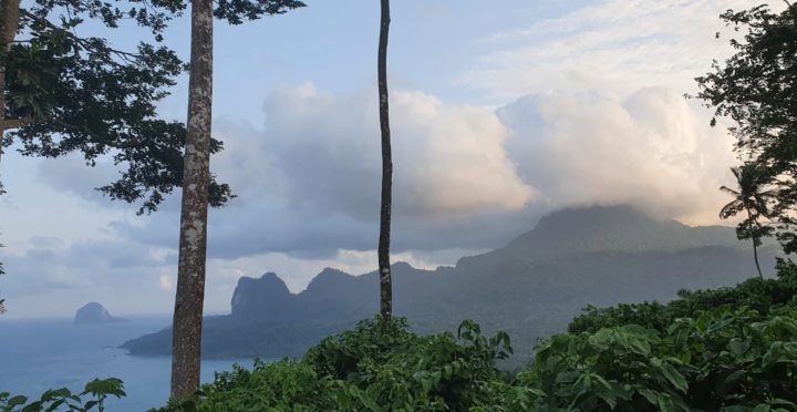 Cogexyl fournit une micro-centrale à gazéification de biomasse à Sao Tomé-et-Principe