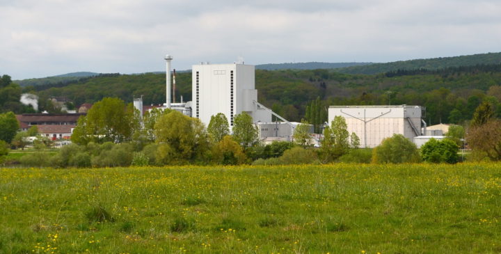 La France, un pays qui ignore royalement la première de ses énergies renouvelables : la biomasse