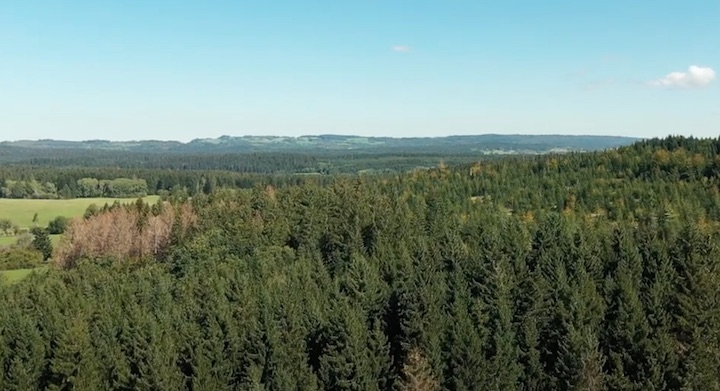 Parole de professionnel : la belle complémentarité entre le bois-énergie et le bois-matériau