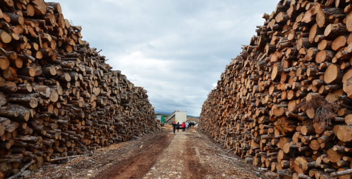 Le 2 juin 2023, contre le changement climatique, passons au bois-énergie en PACA