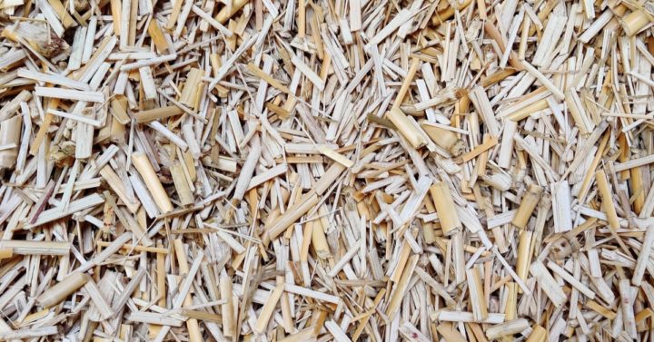 Le chauffage au miscanthus clé en main, une éco-filière extra courte by Heizomat et Novabiom