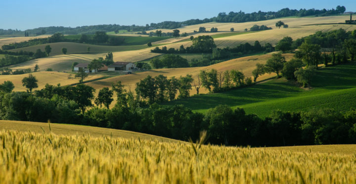 21 septembre 2023, les bonnes pratiques d’exploitation du bocage en bois-énergie