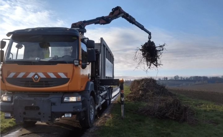 En Gironde, Vinea Énergie valorise les ceps de vigne arrachés grâce aux crédits carbone