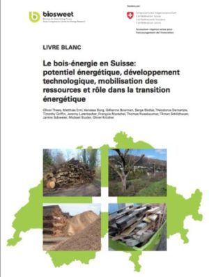 Le bois-énergie, potentiel à venir dans la transition énergétique de la Suisse