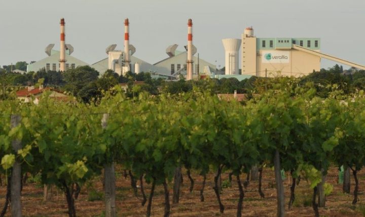 Charwood va monter une centrale de gazéification de biomasse de 3 MW chez Verallia à Cognac
