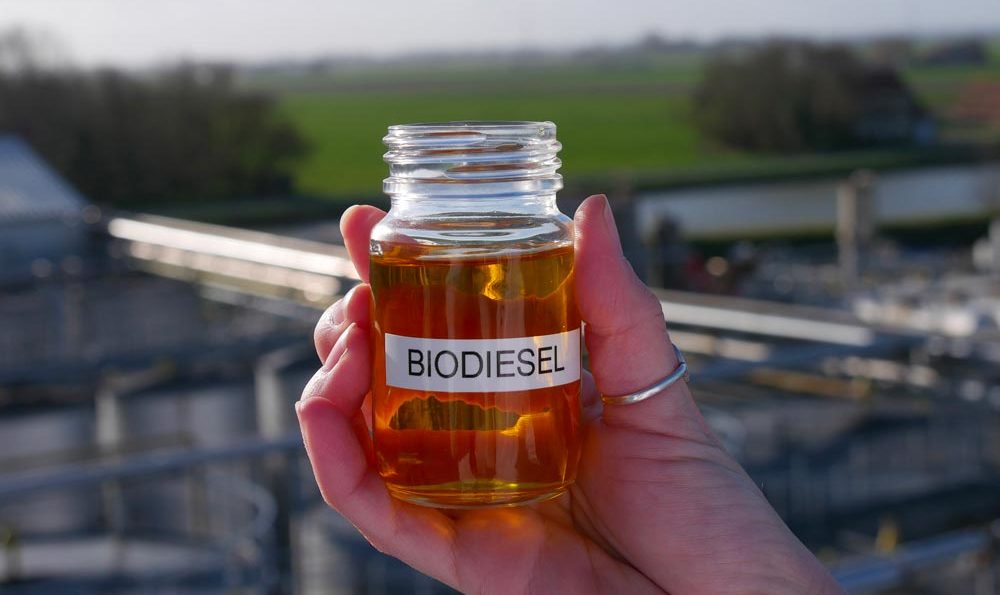 Atlas Bioénergie International des producteurs de biocarburants liquides