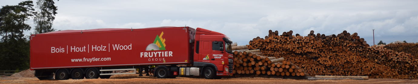 Le bois-énergie est produit avec les produits connexes de l’industrie du bois et de la sylviculture, photo Frédéric Douard
