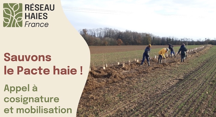Appel à sauver le Pacte Haies