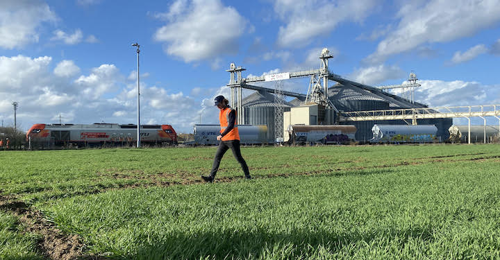 Idex se positionne pour décarboner de grandes chaufferies de l’Hexagone avec du granulé