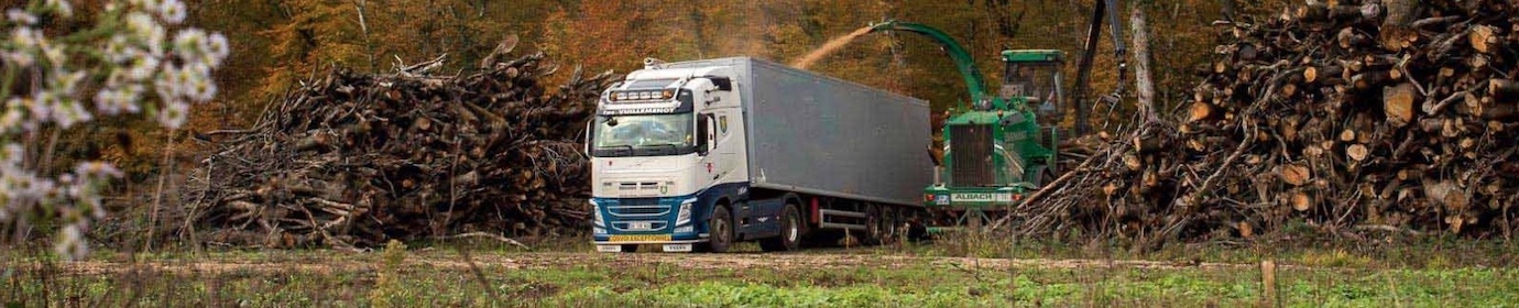 Chantier de déchiquetage de bois, photo Syvo Watts