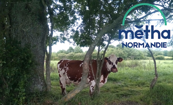 15 & 22 juin 2026 : deux webinaires sur le financement de la méthanisation agricole en Normandie