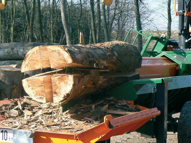 Valoriser les pieds de grumes de sciage en bois de chauffage